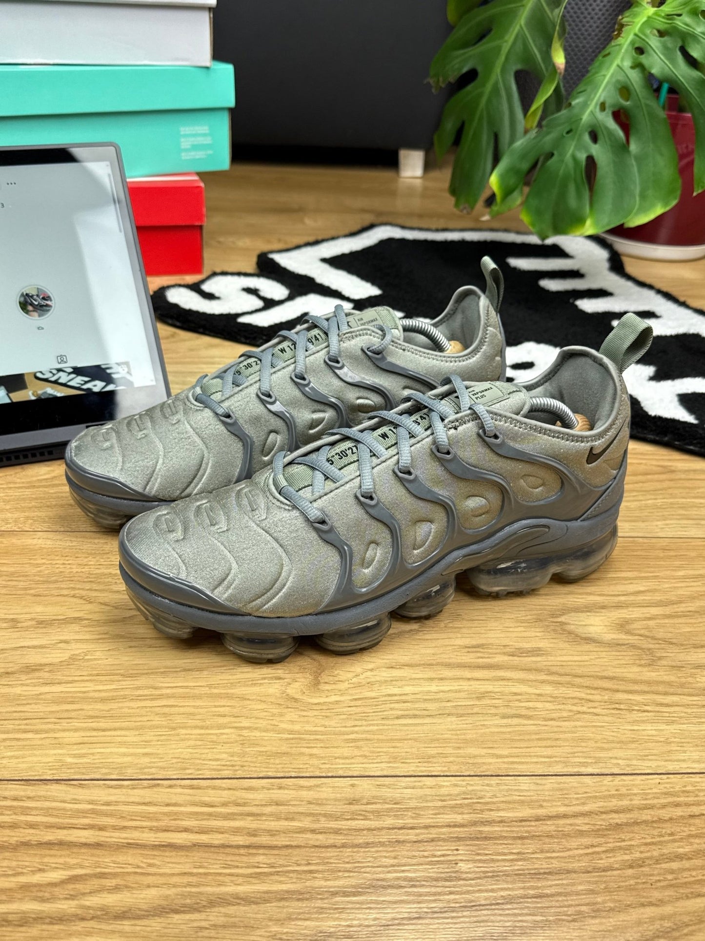 Nike Air Vapormax Plus (45)