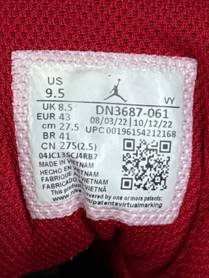 Nike Air Jordan Max Aura 4 (43)