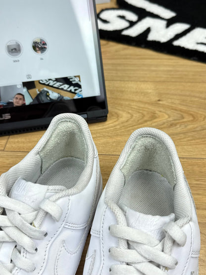 Nike Air Force 1 Low (44)