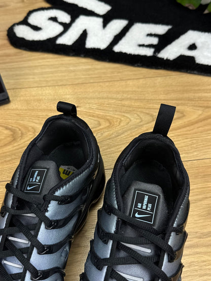 Nike Air Vapormax Plus (44)