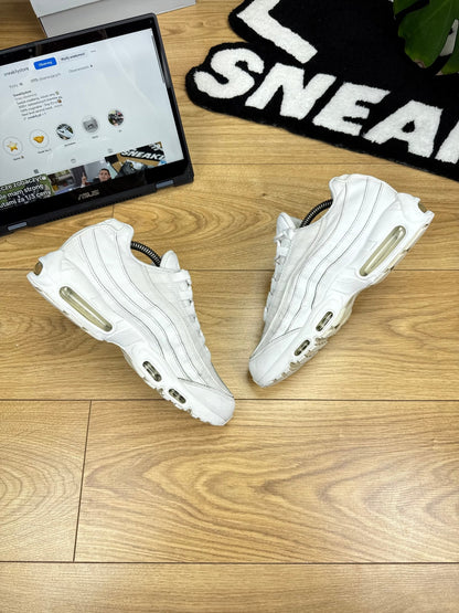 Nike Air Max 95 (43)