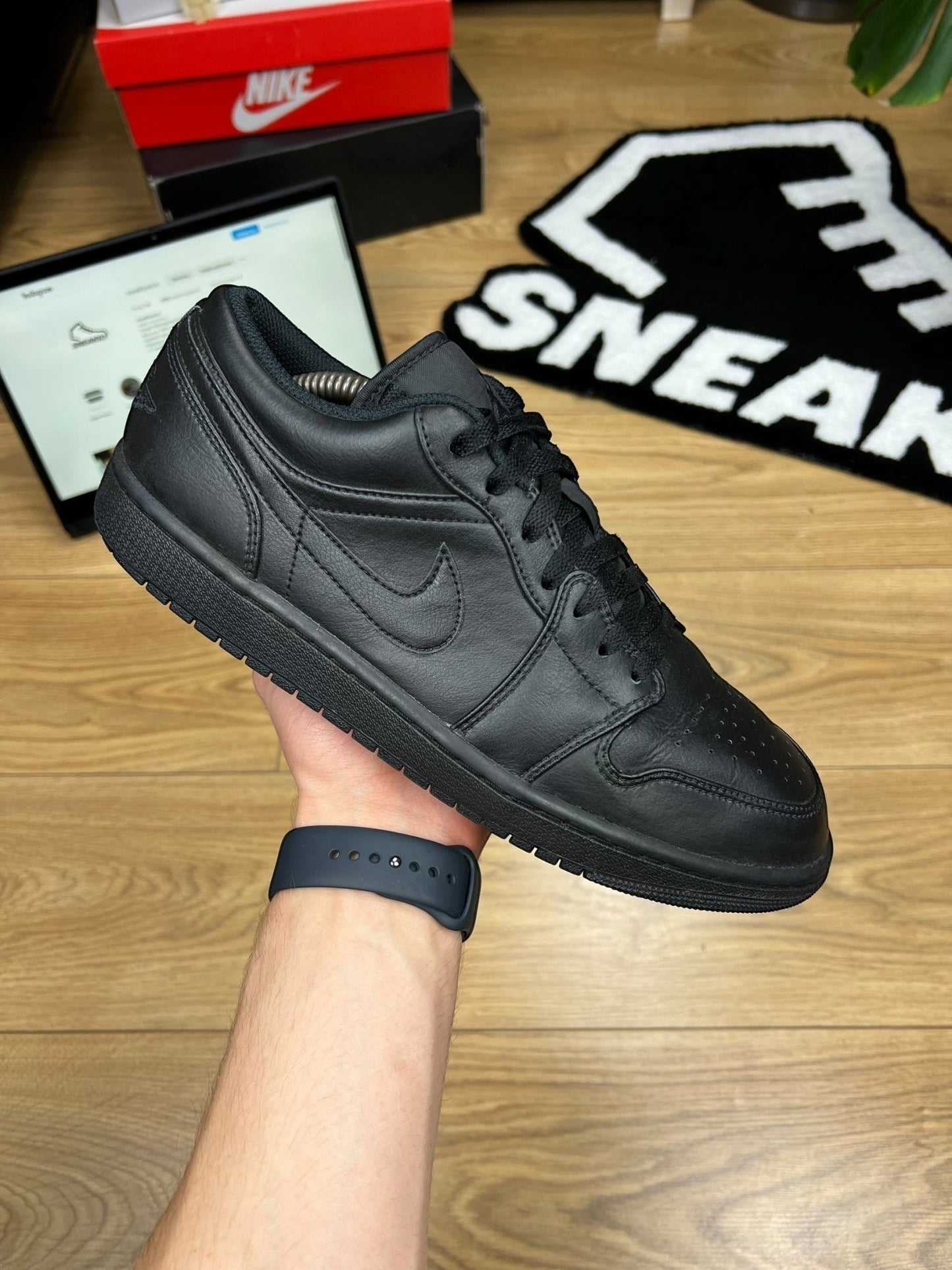 Nike Air Jordan 1 Low (45)