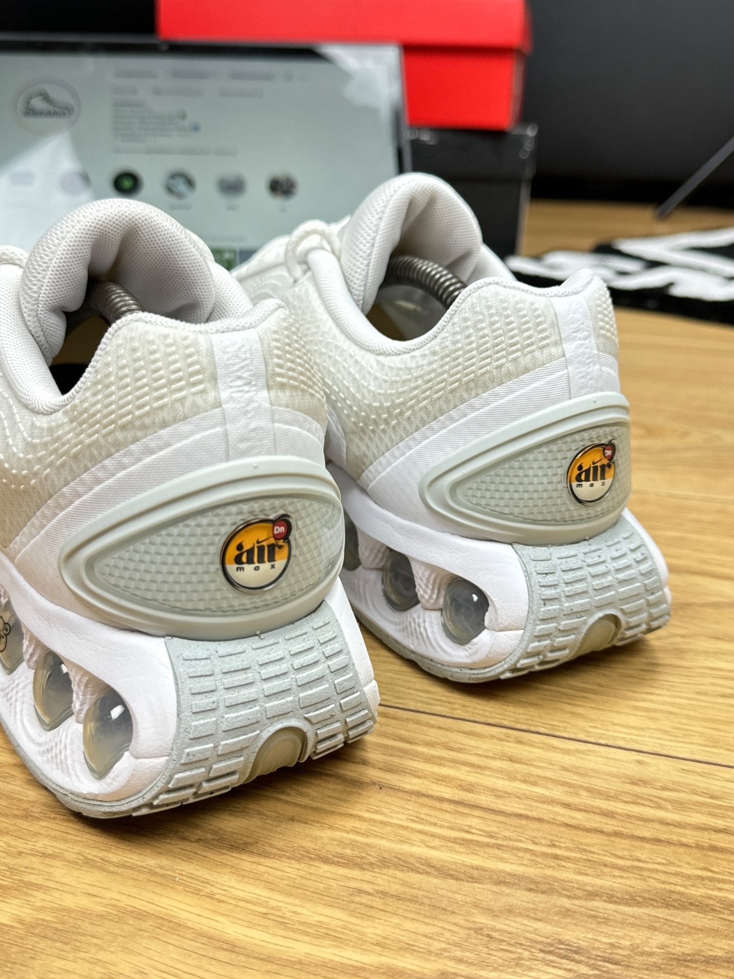 Nike Air Max DN (45)
