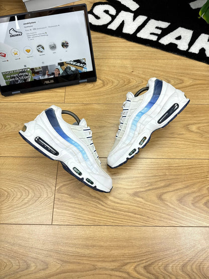 Nike Air Max 95 (42)