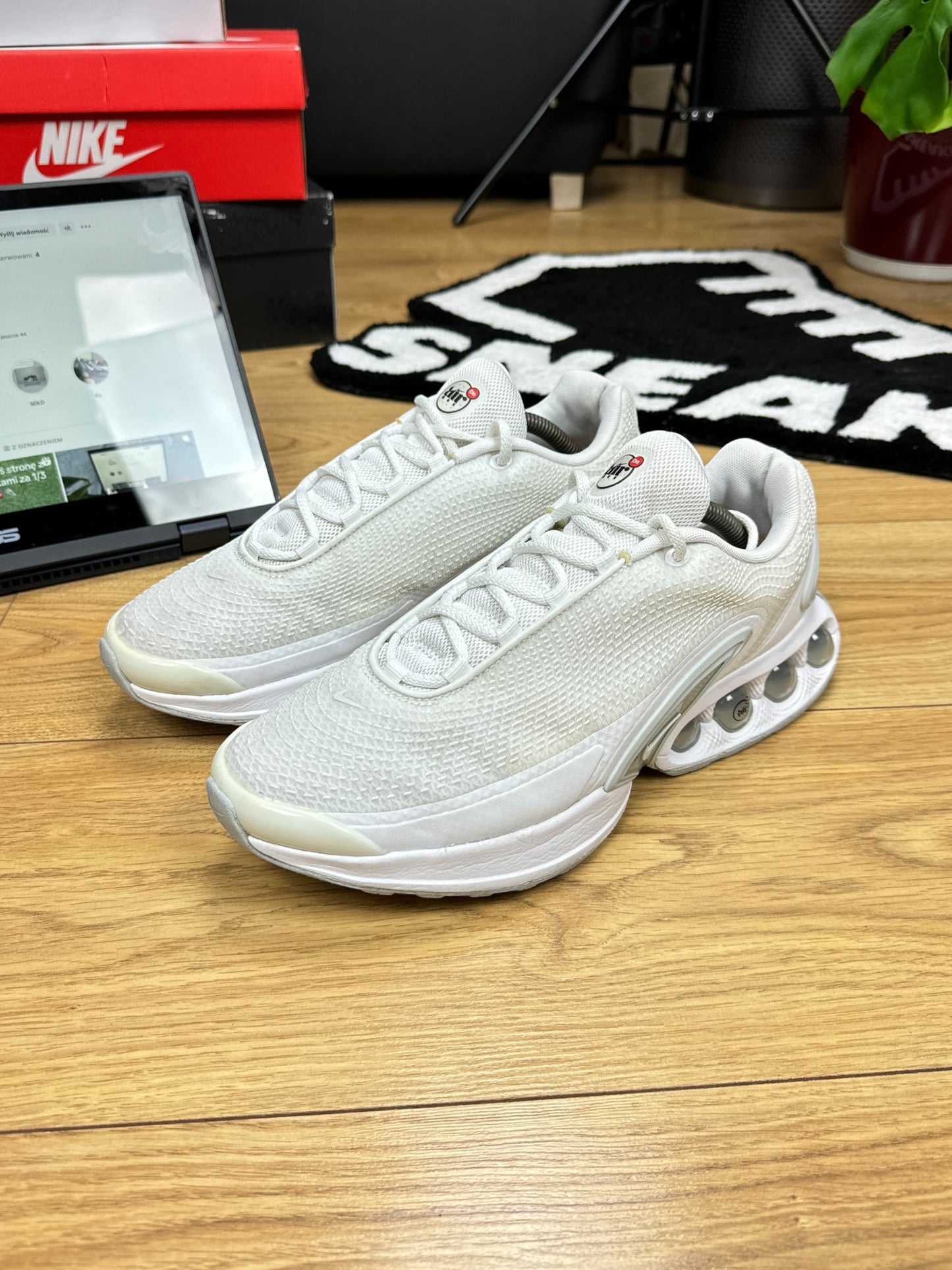 Nike Air Max DN (45)