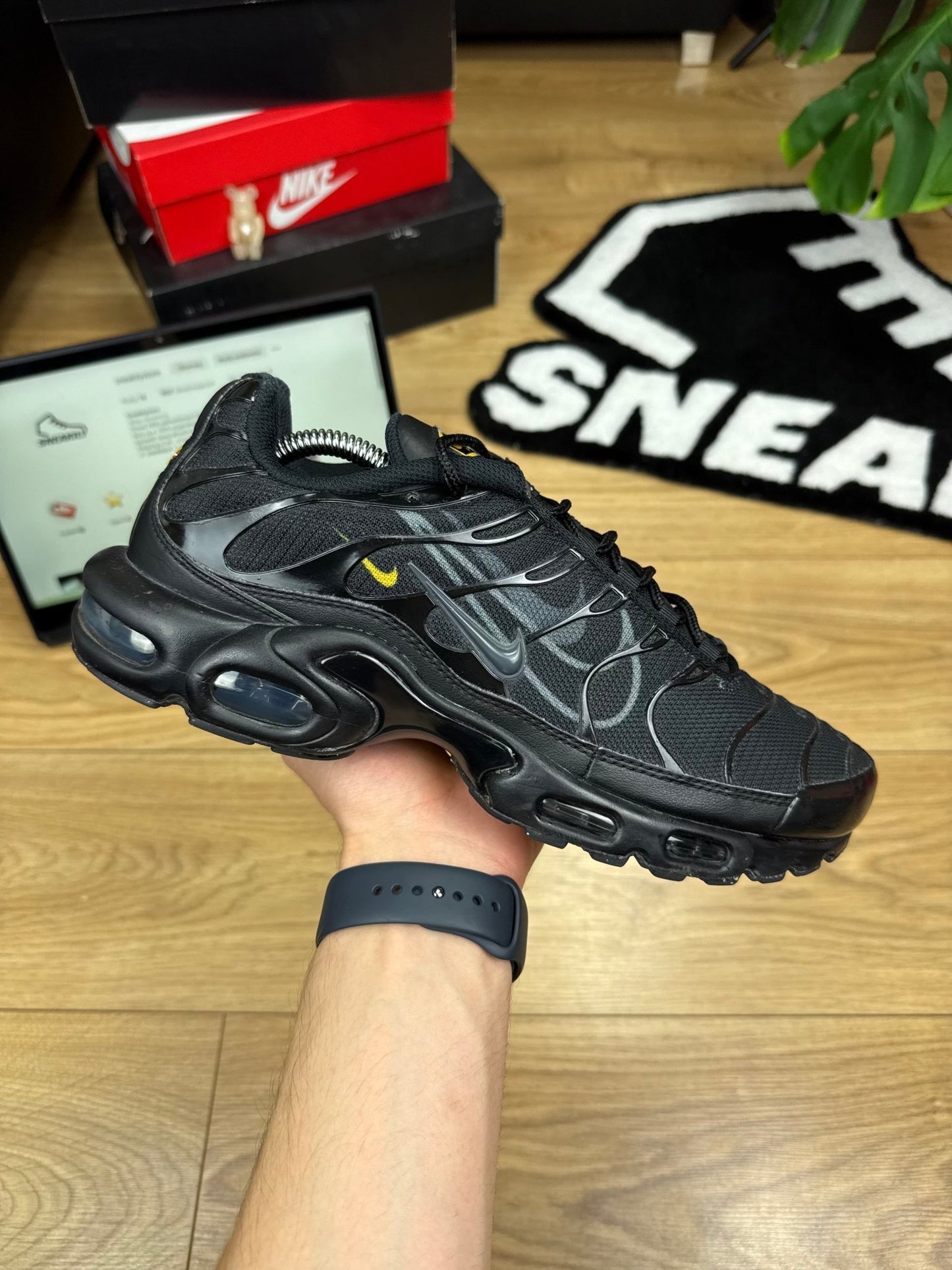 Nike Air Max Plus TN (44.5)