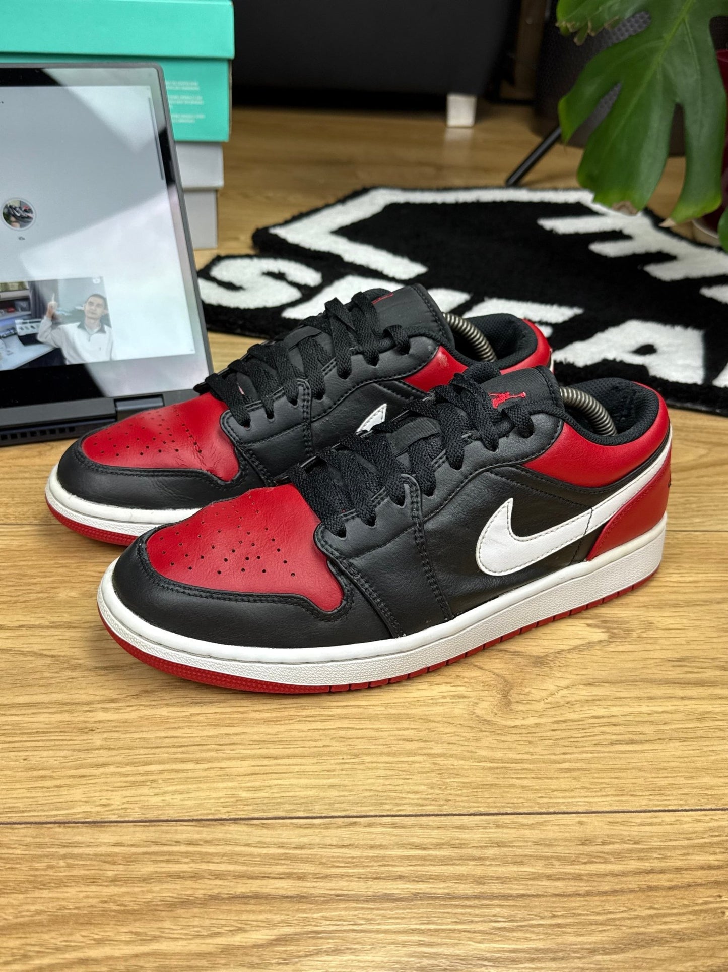 Nike Air Jordan 1 Low (44)