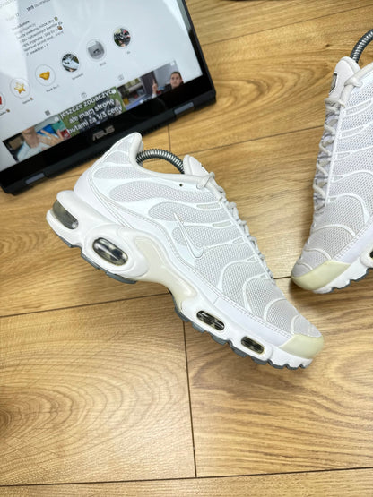 Nike Air Max Plus (42)