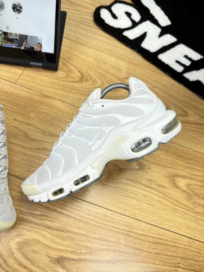 Nike Air Max Plus (42)