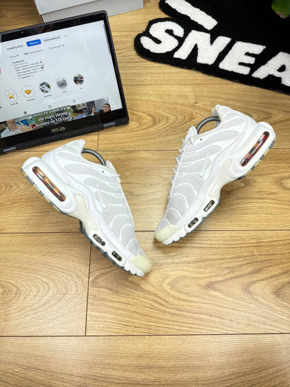 Nike Air Max Plus (42)