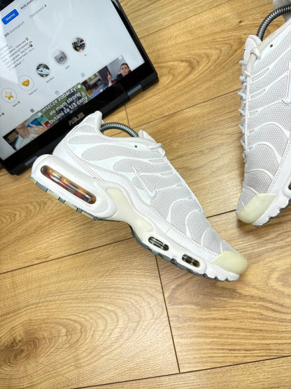 Nike Air Max Plus (42)