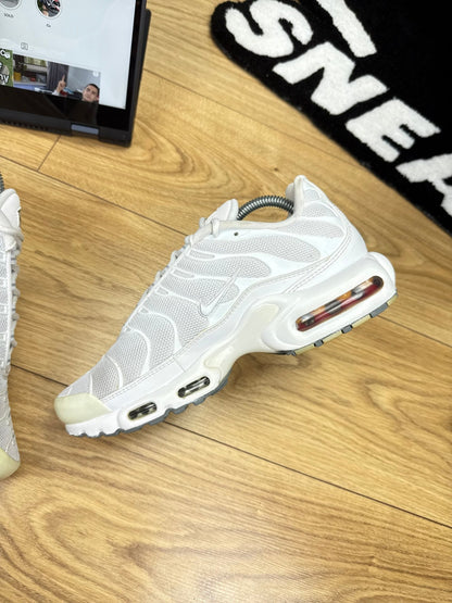 Nike Air Max Plus (42)