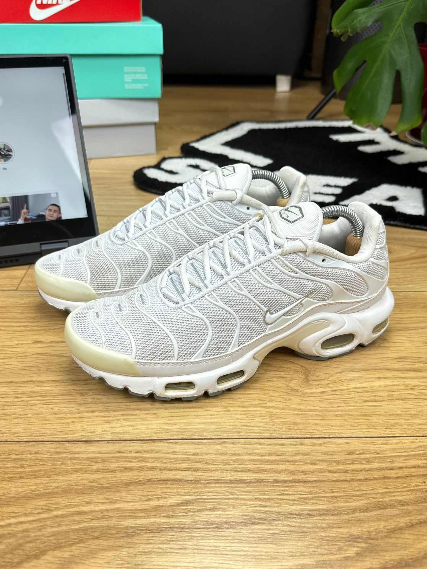 Nike Air Max Plus (42)