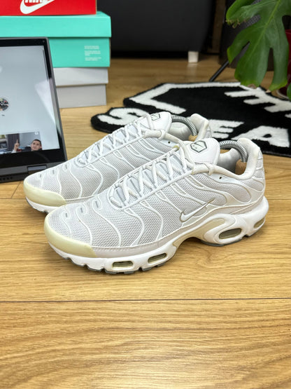 Nike Air Max Plus (42)