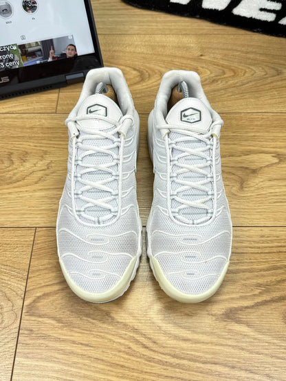 Nike Air Max Plus (42)