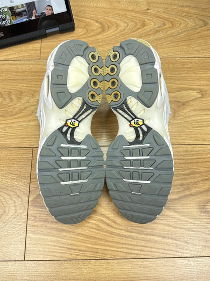Nike Air Max Plus (42)