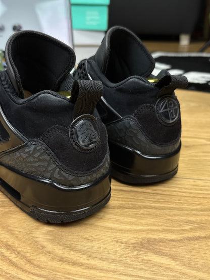 Nike Air Jordan Spizike Low (41)