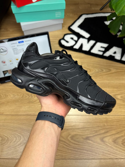 Nike Air Max Plus (44)