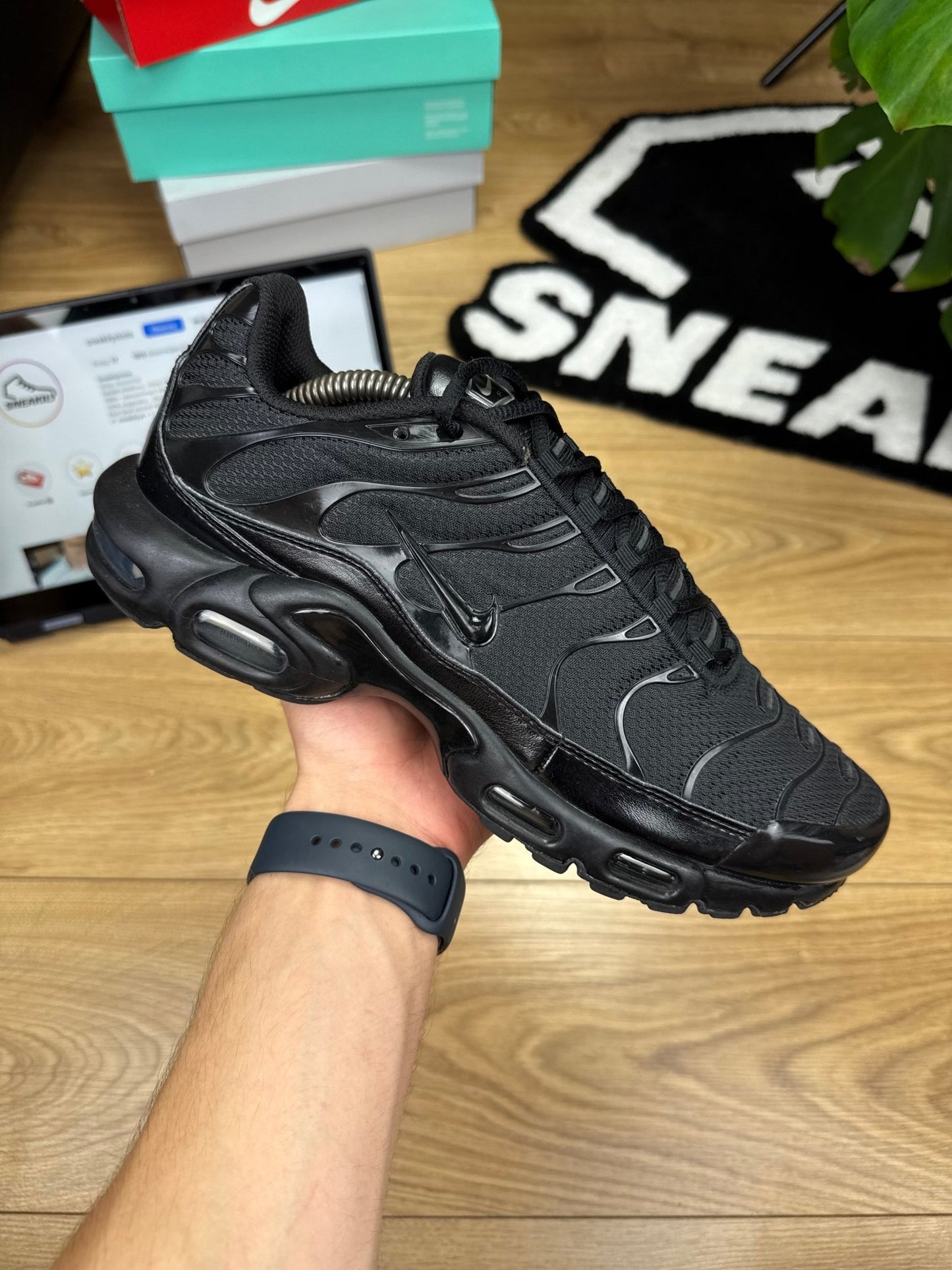 Nike Air Max Plus (44)