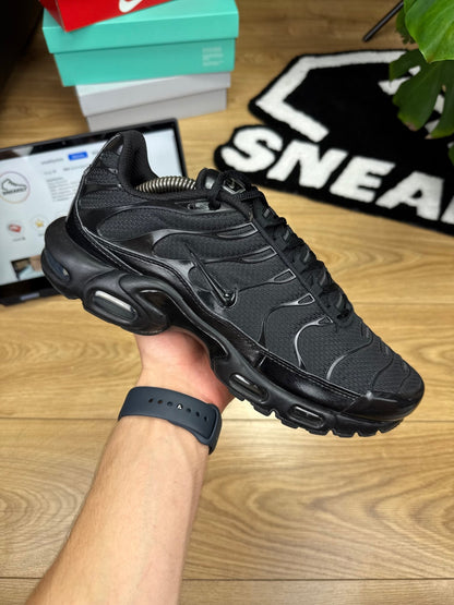 Nike Air Max Plus (44)