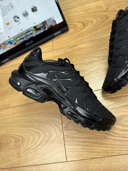 Nike Air Max Plus (44)