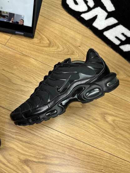Nike Air Max Plus (44)