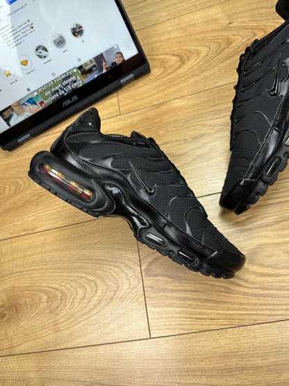 Nike Air Max Plus (44)