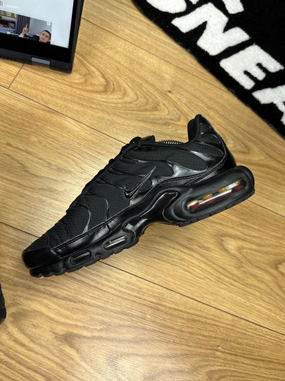 Nike Air Max Plus (44)