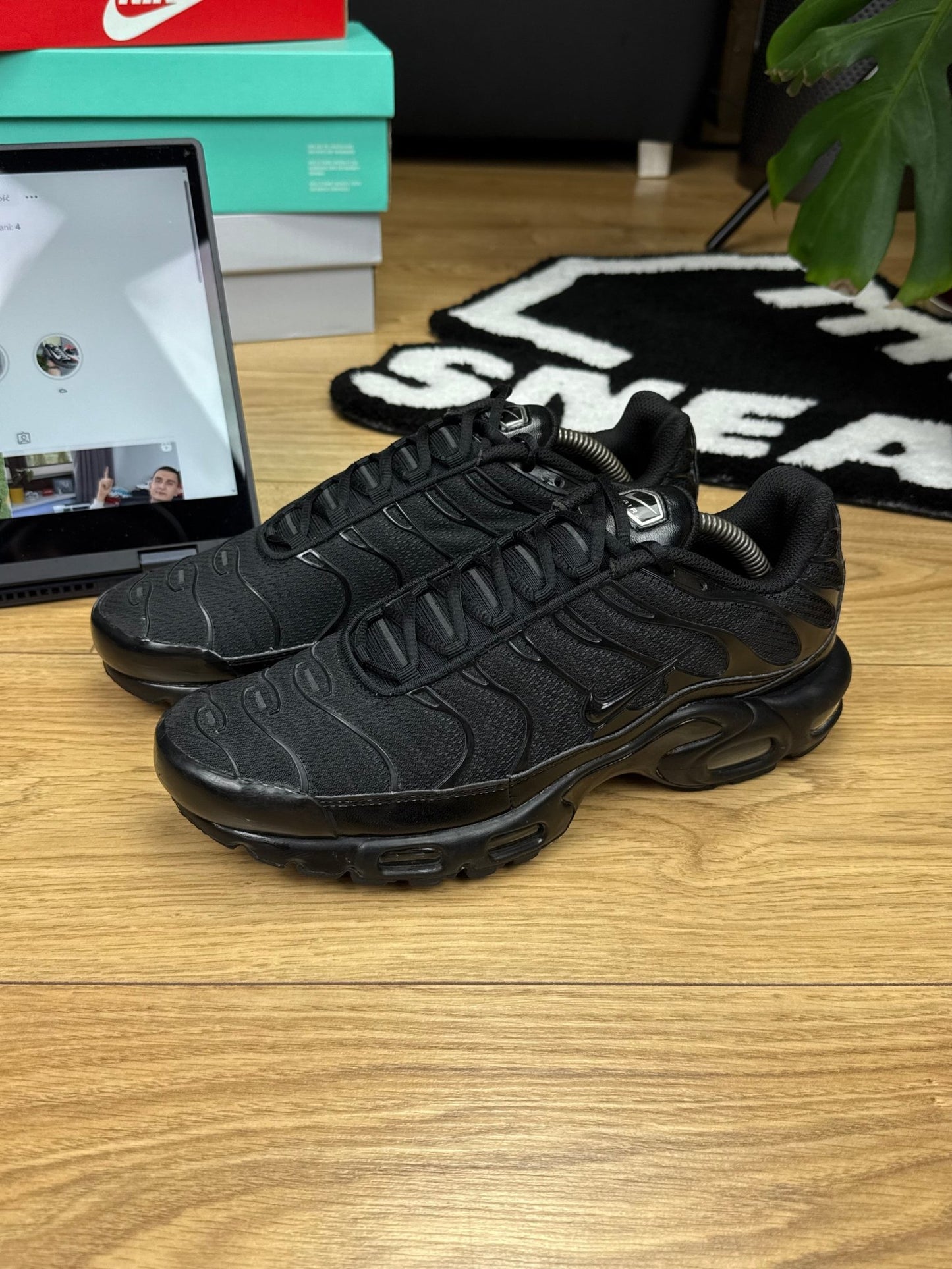 Nike Air Max Plus (44)