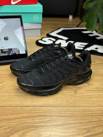Nike Air Max Plus (44)