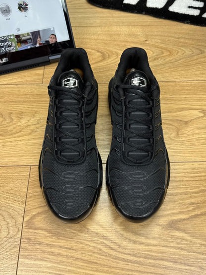 Nike Air Max Plus (44)