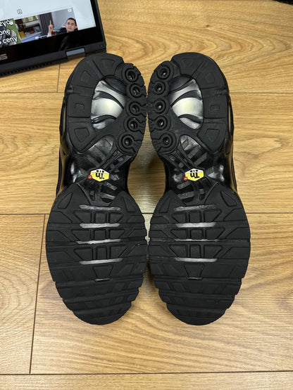 Nike Air Max Plus (44)