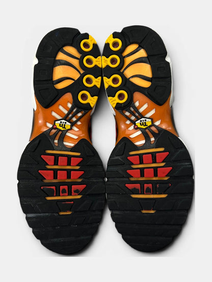 Nike Air Max Plus (TN) rozmiar 40