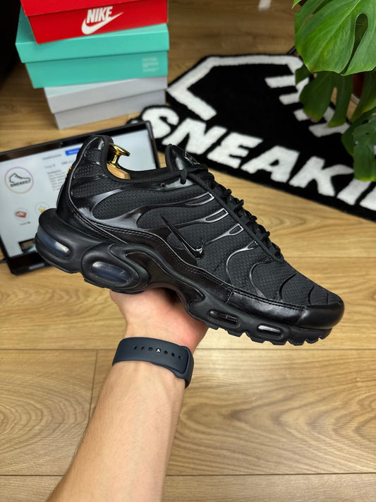 Nike Air Max Plus (45.5)