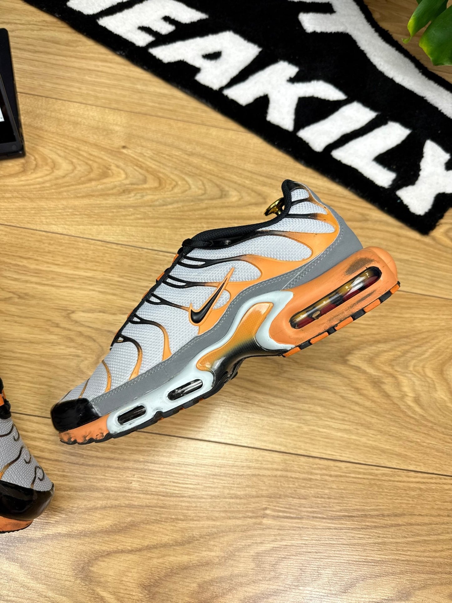 Nike Air Max Plus TN (44)
