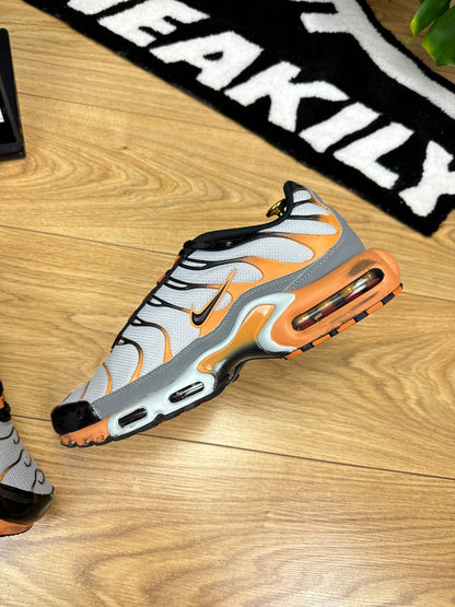 Nike Air Max Plus TN (44)