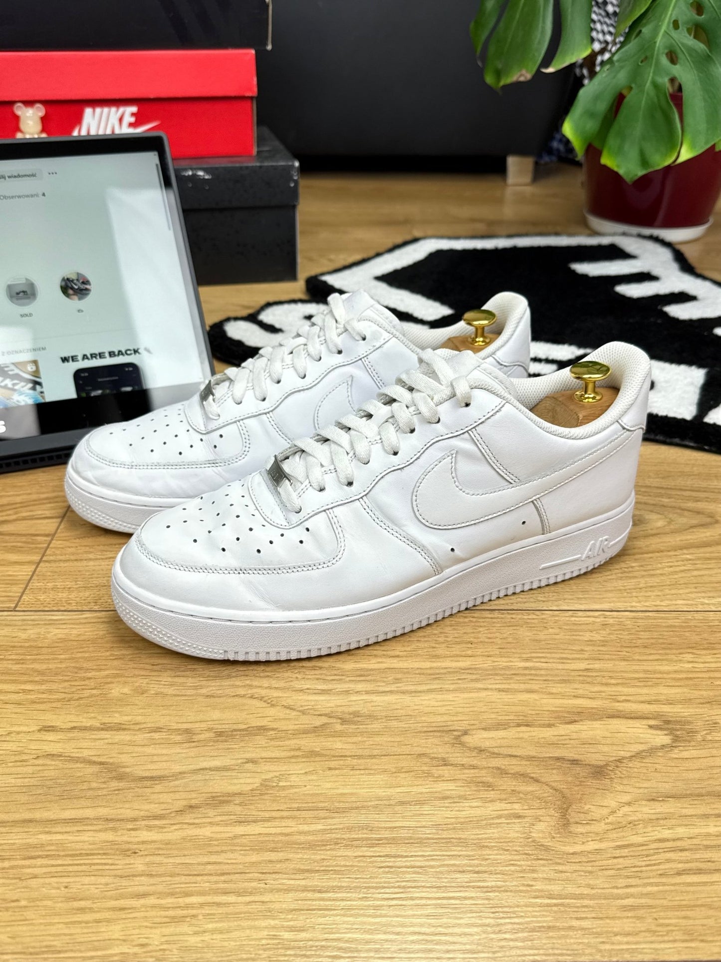 Nike Air Force 1 Low (45)