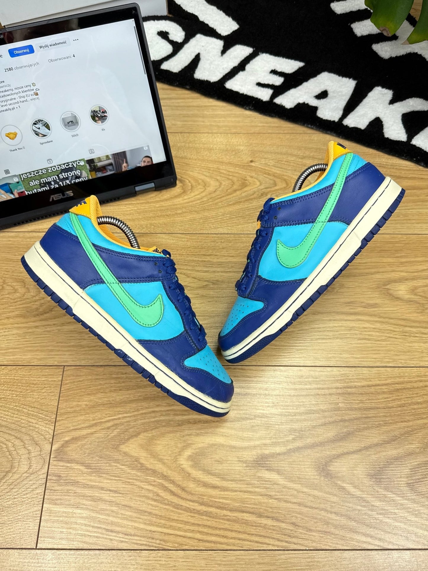 Nike Dunk low (40)
