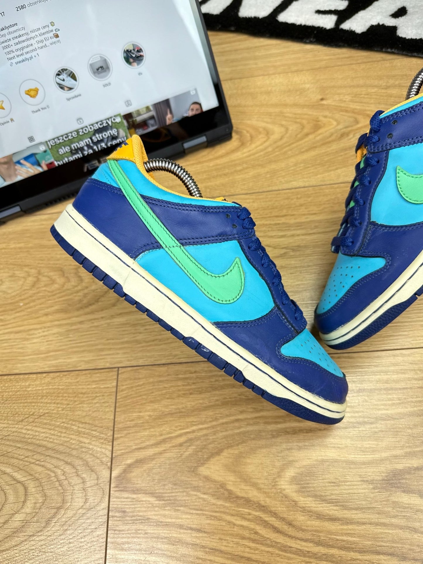 Nike Dunk low (40)