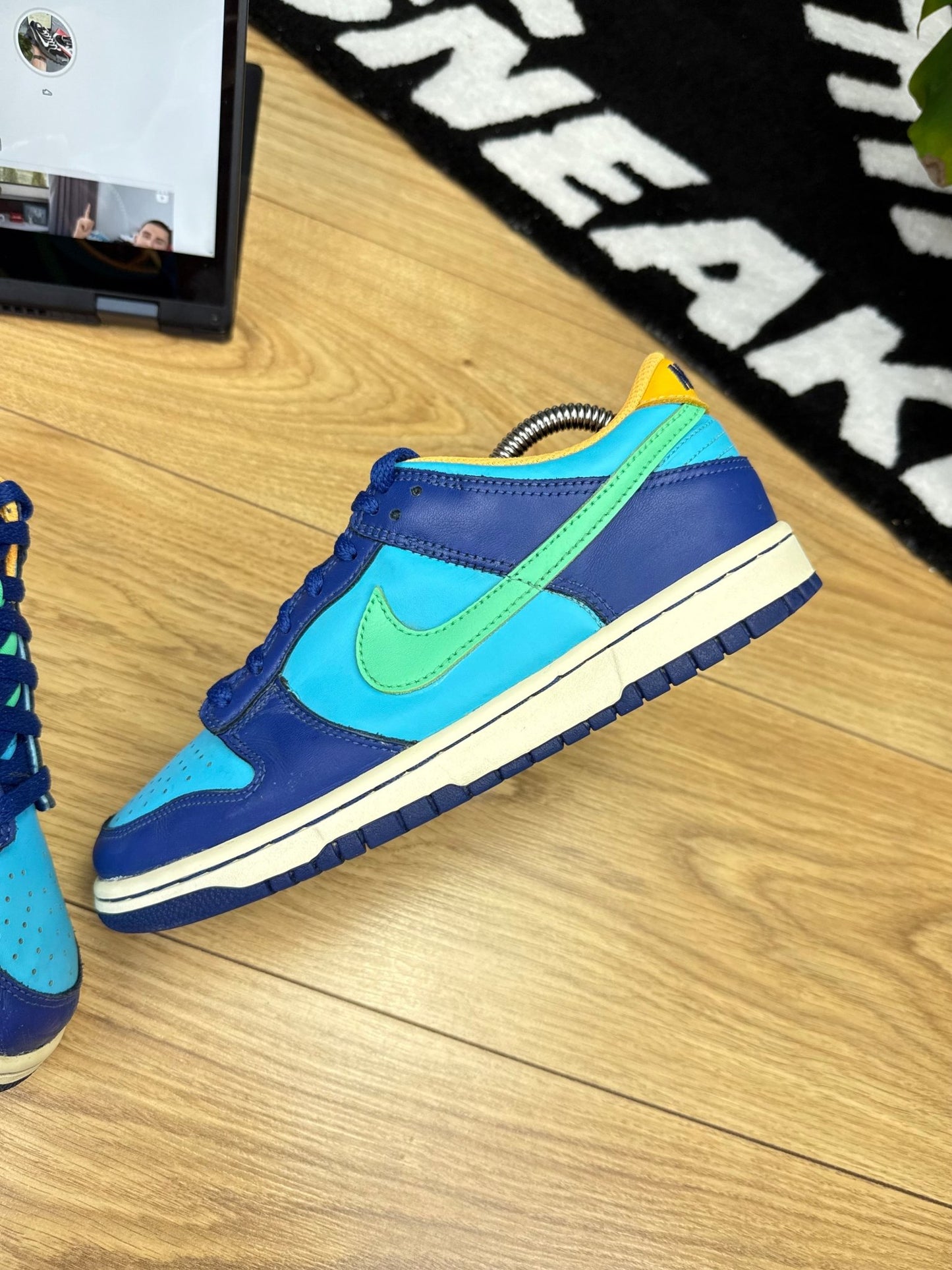 Nike Dunk low (40)