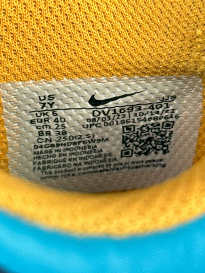 Nike Dunk low (40)