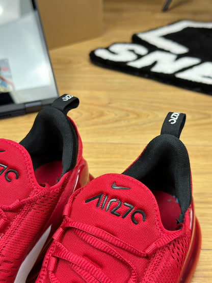Nike Air Max 270 (45)