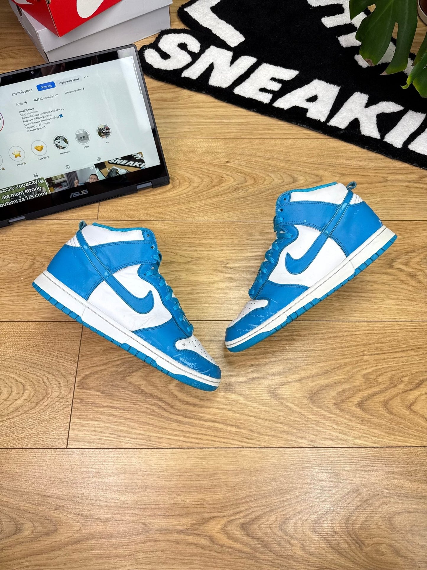 Nike Dunk High (43)