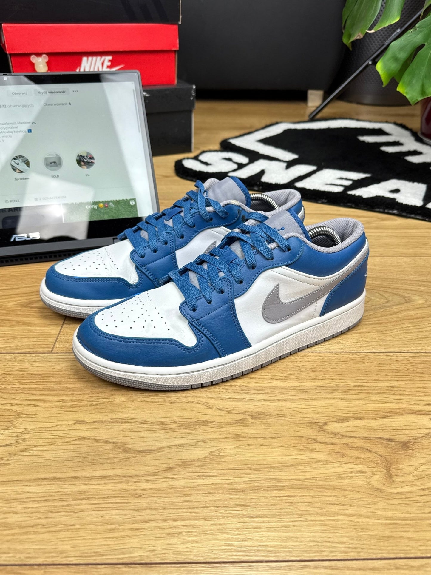 Nike Air Jordan 1 Low (44)
