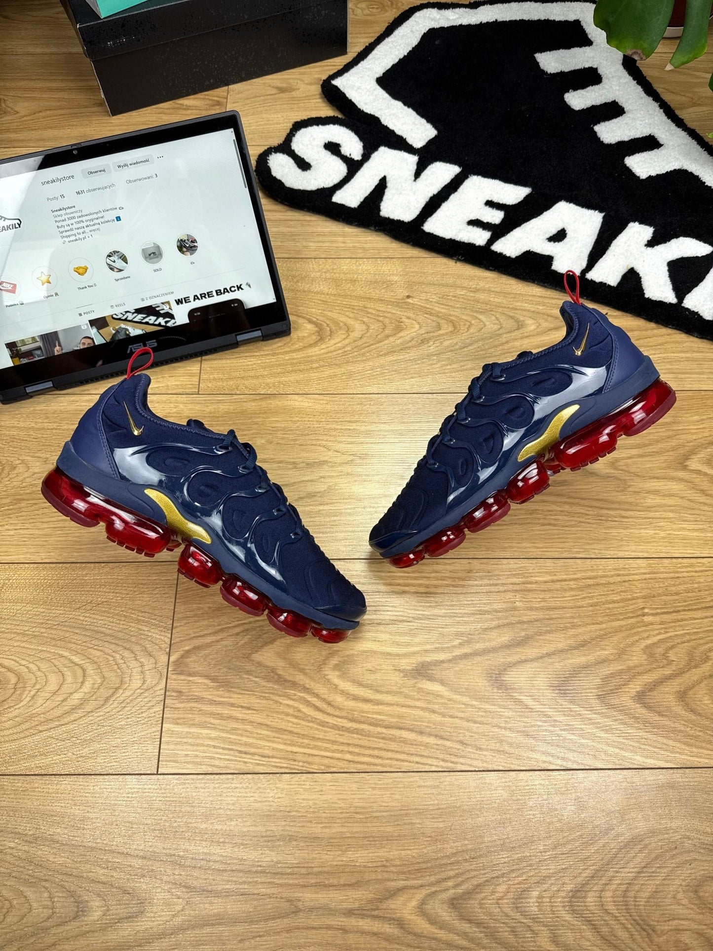 Nike Air Vapormax Plus (44)