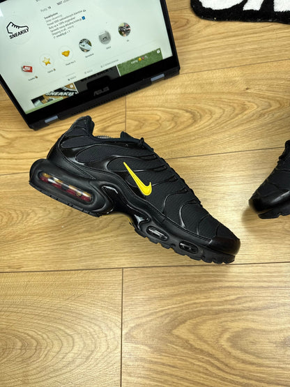 Nike Air Max Plus TN (44.5)