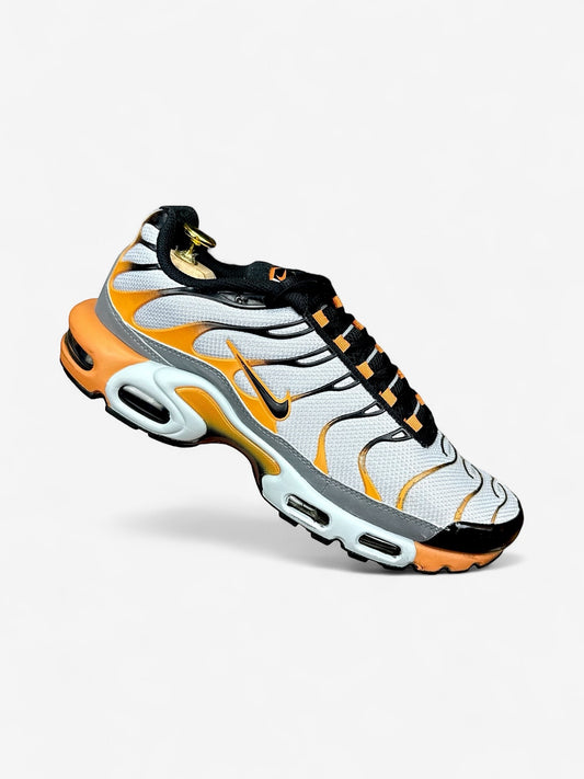 Nike Air Max Plus TN (44)