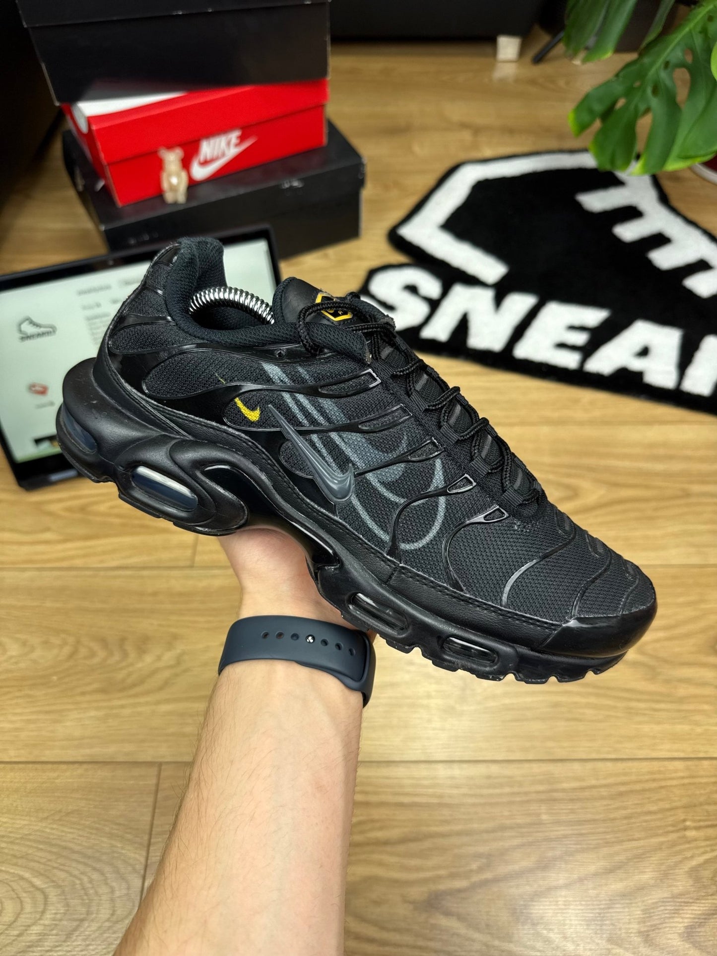 Nike Air Max Plus TN (44.5)