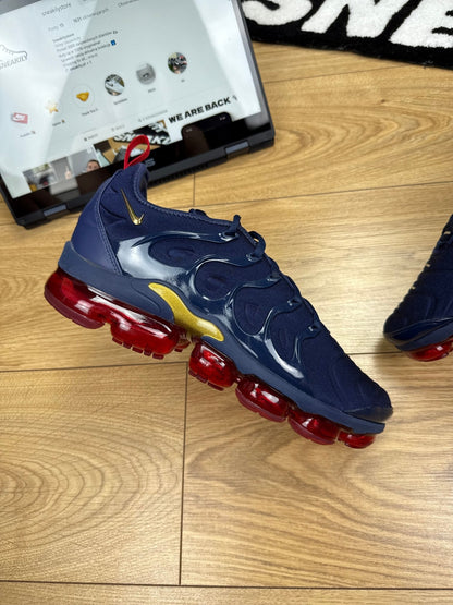 Nike Air Vapormax Plus (44)