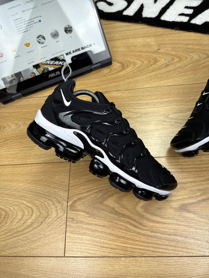 Nike Air Vapormax Plus (43)